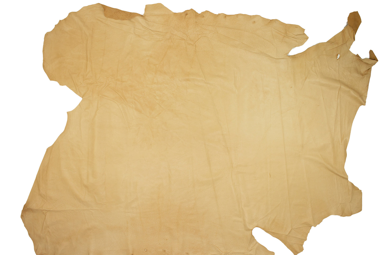 Piel de cerdo flor arena