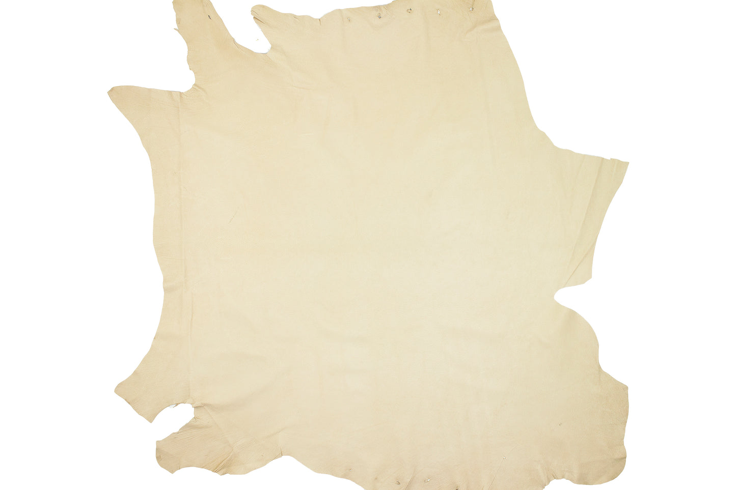 Sahara grain pigskin