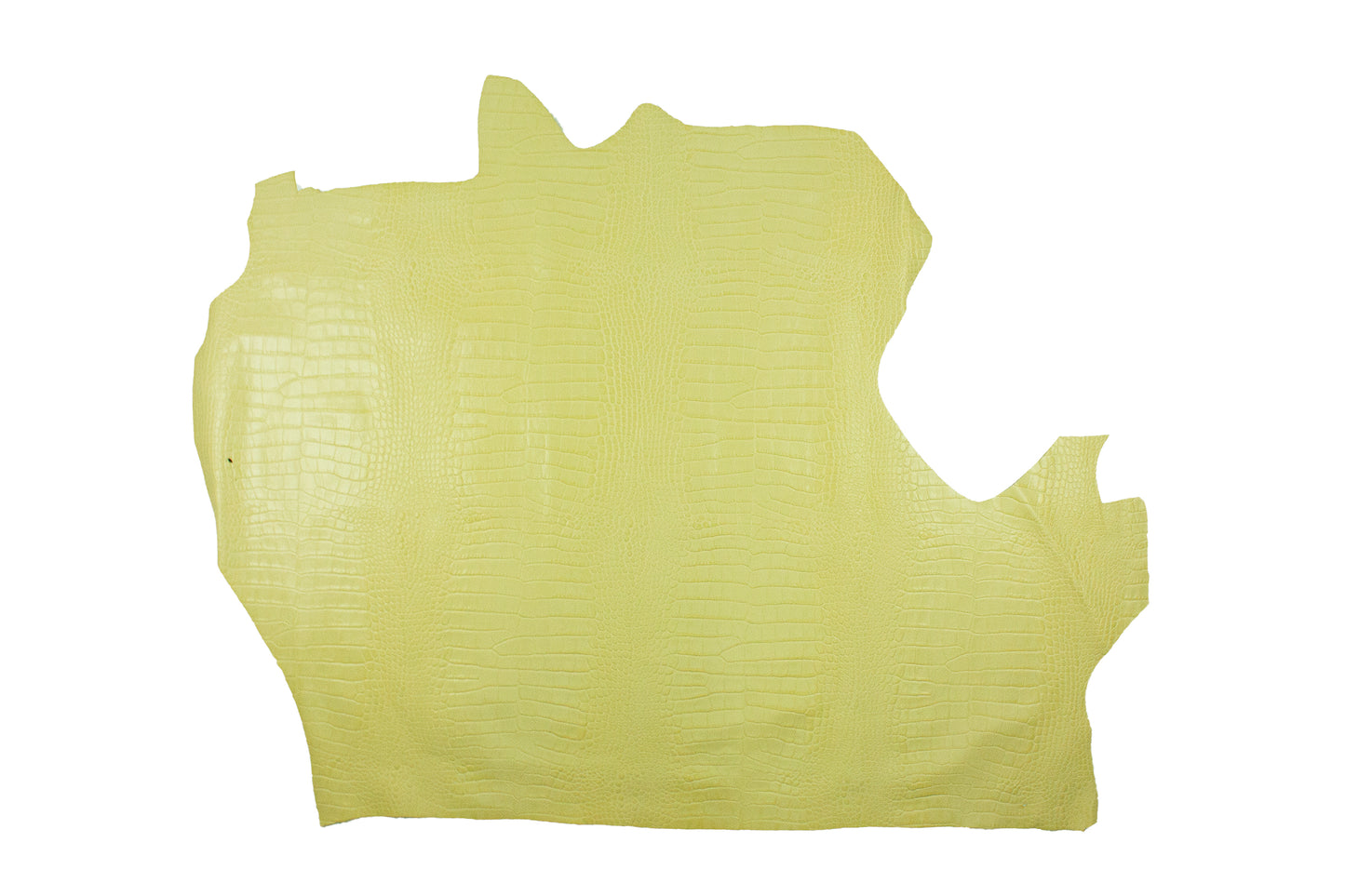 Trozo de piel grabado cocodrilo amarillo palo envejecido