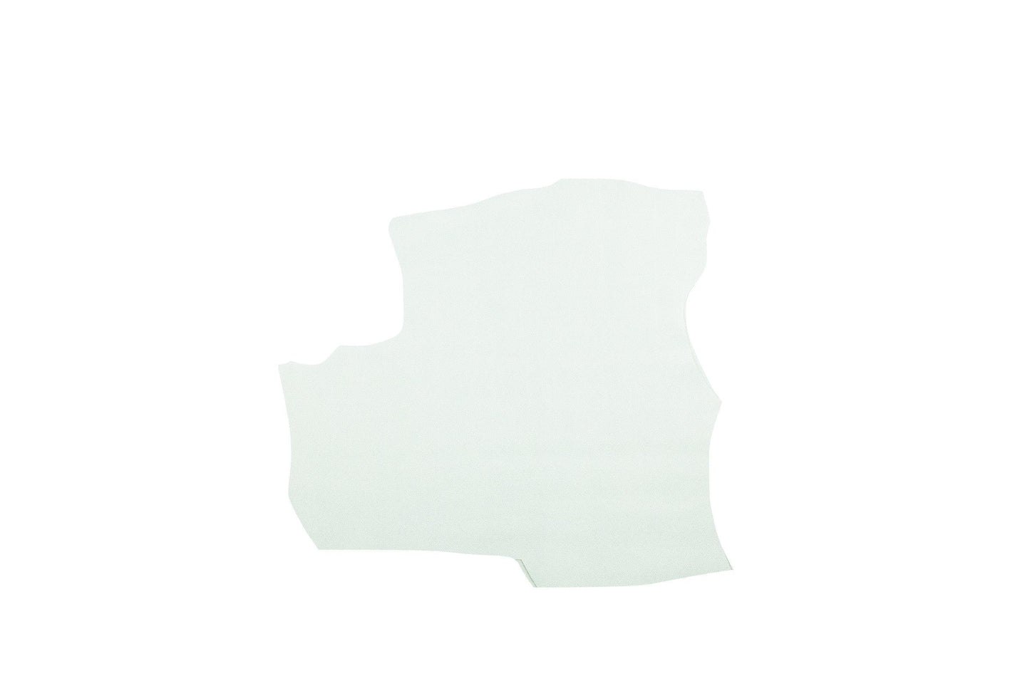 Trozo de piel grabado lagarto blanco - La Tendeta del Cuero