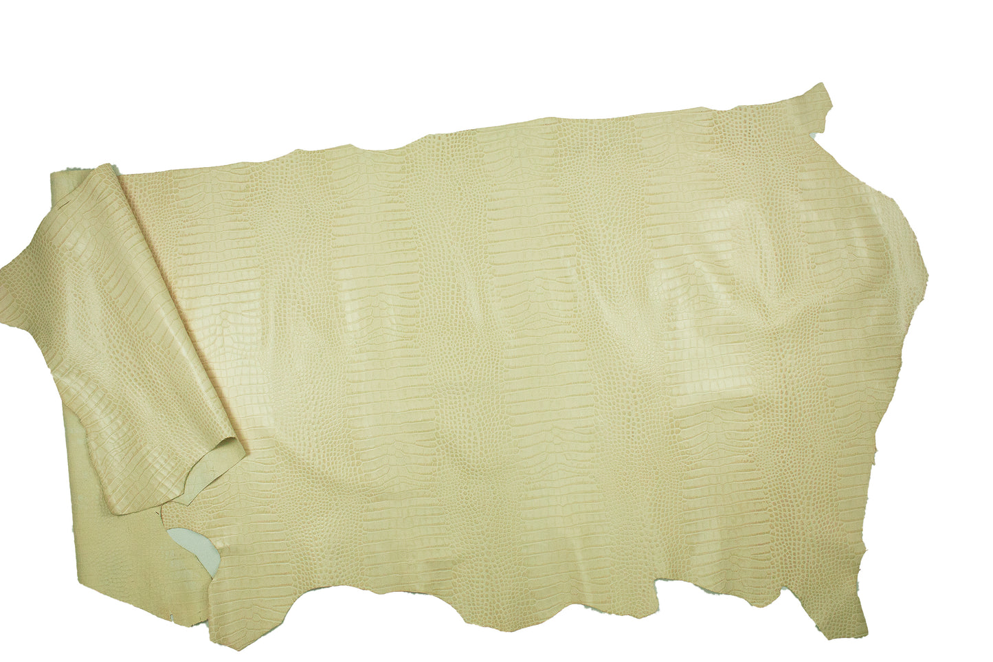 Aged cream beige crocodile embossed leather
