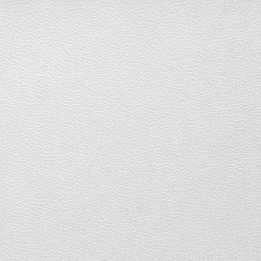 Vegan Vegetable Leather Karachi