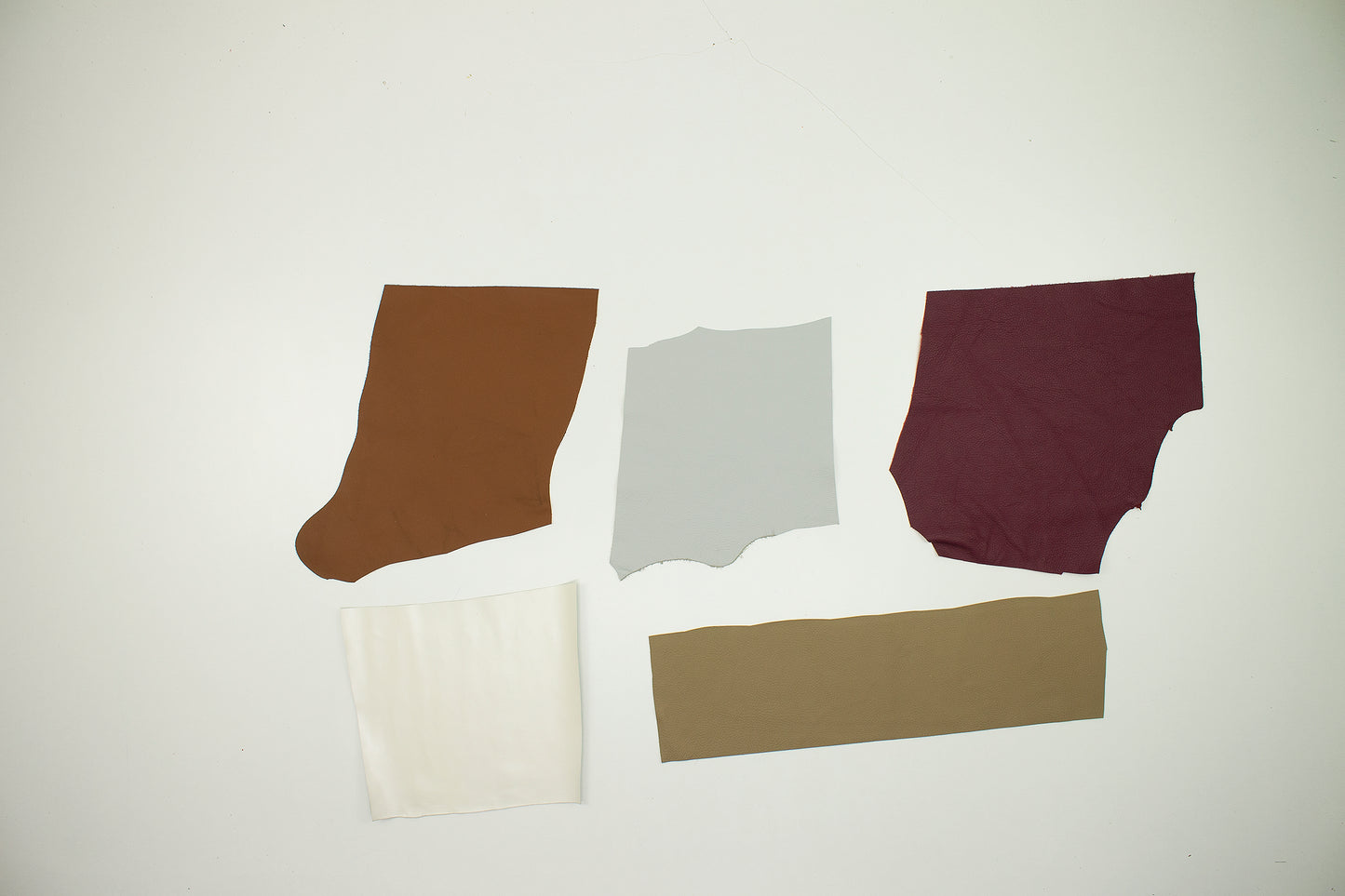 Lote 5 trozos de vacuno varios colores