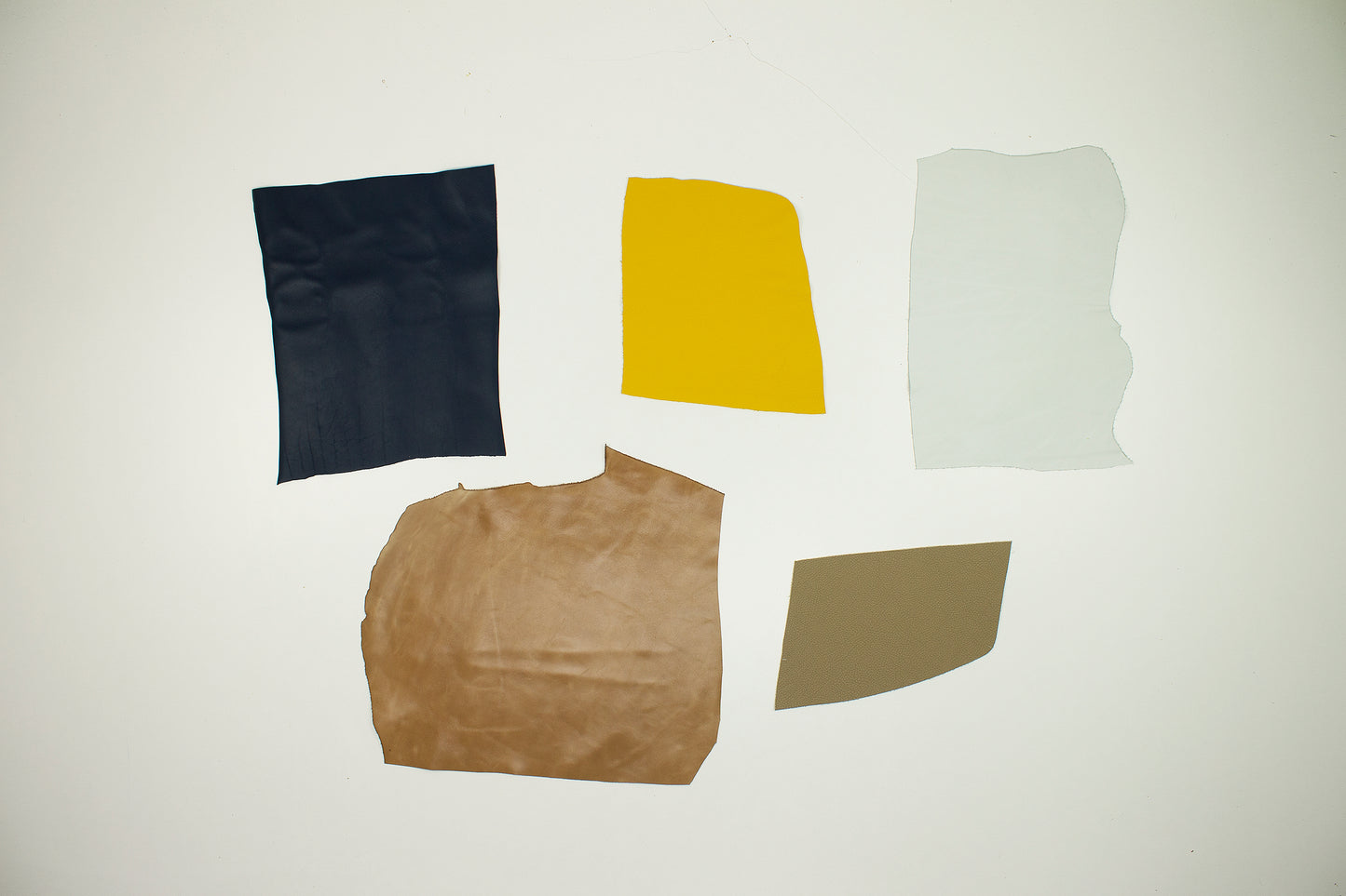 Lote 5 trozos de vacuno varios colores