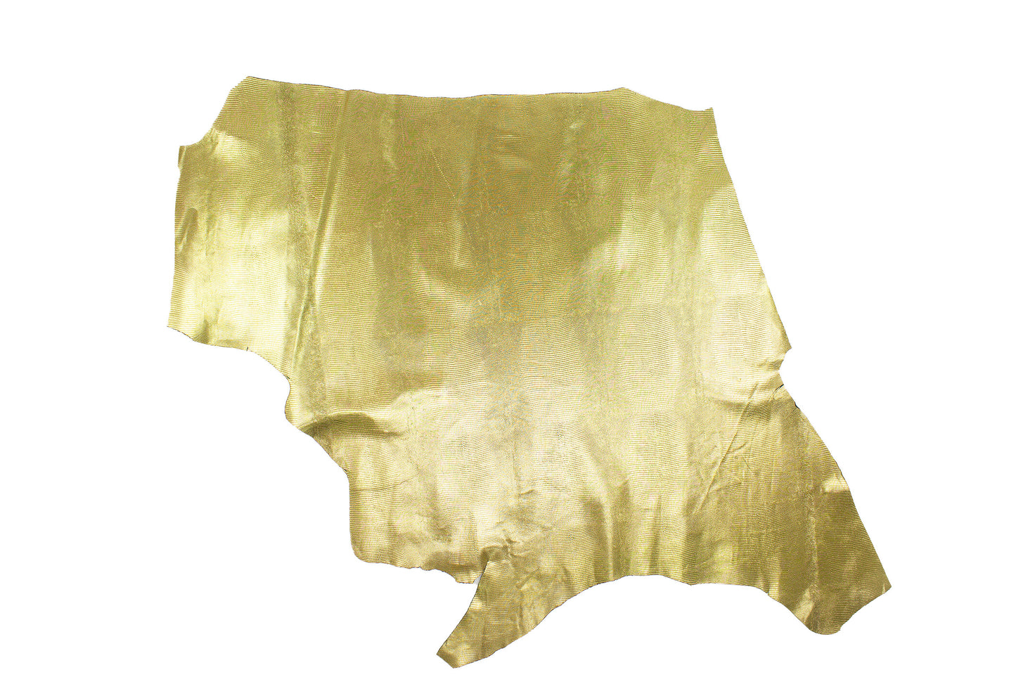Trozo de piel grabado lagarto oro