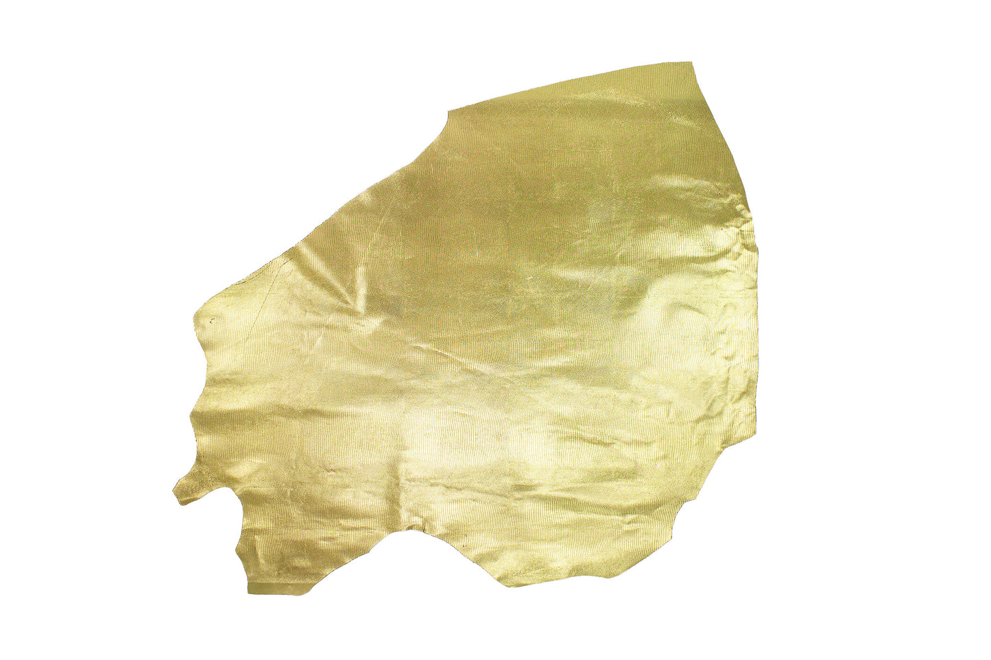Trozo de piel grabado lagarto oro