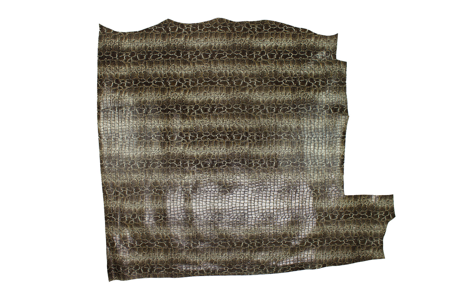 Trozo de piel grabado fusion coco y serpiente