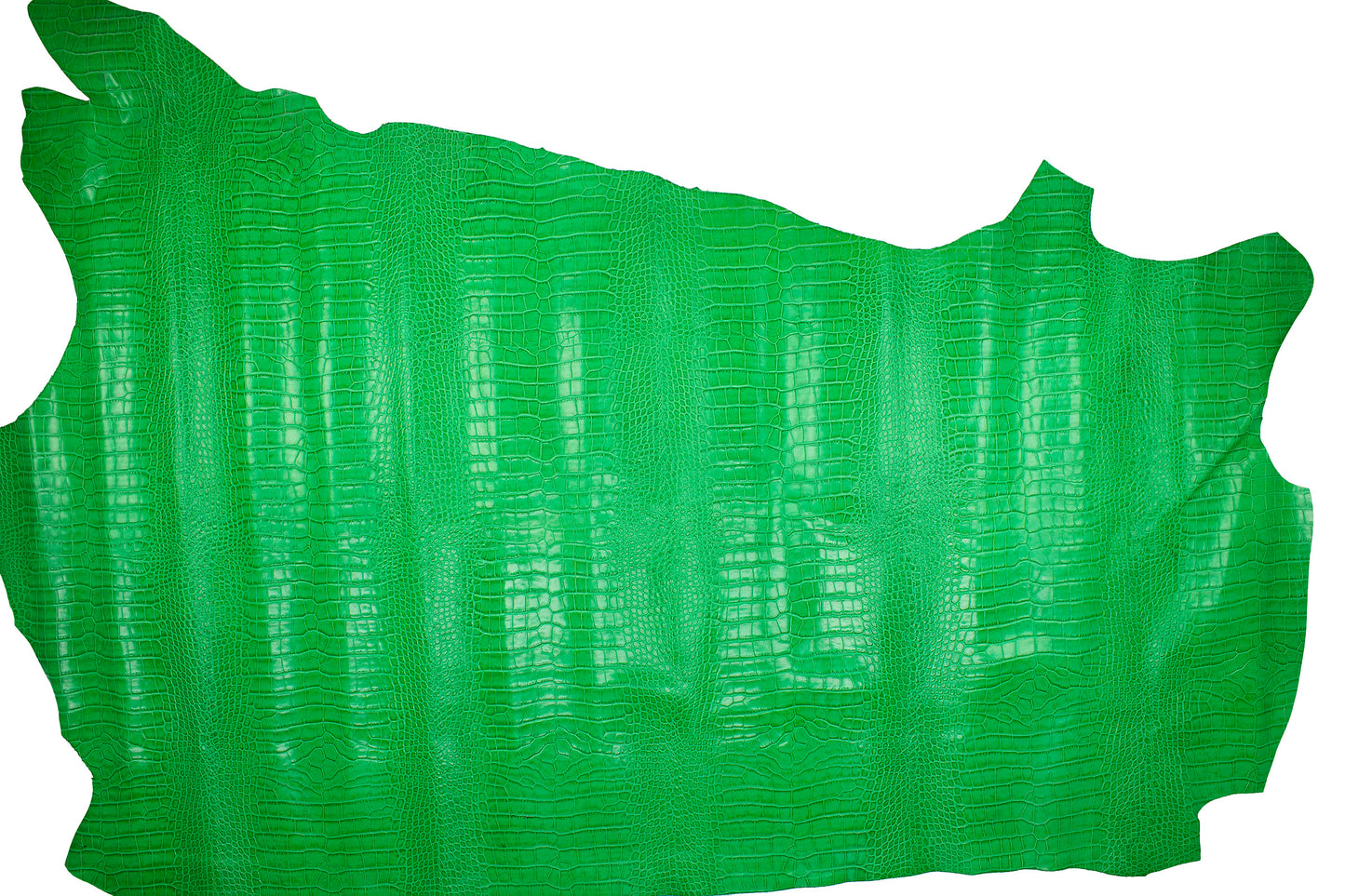 Piel de grabado cocodrilo verde - La Tendeta del Cuero