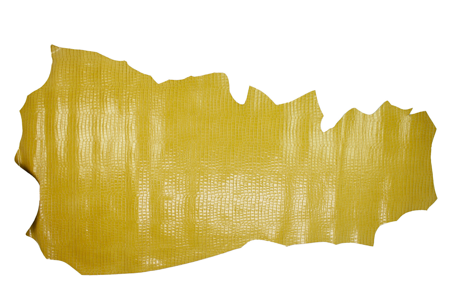 Piel de grabado coco camel