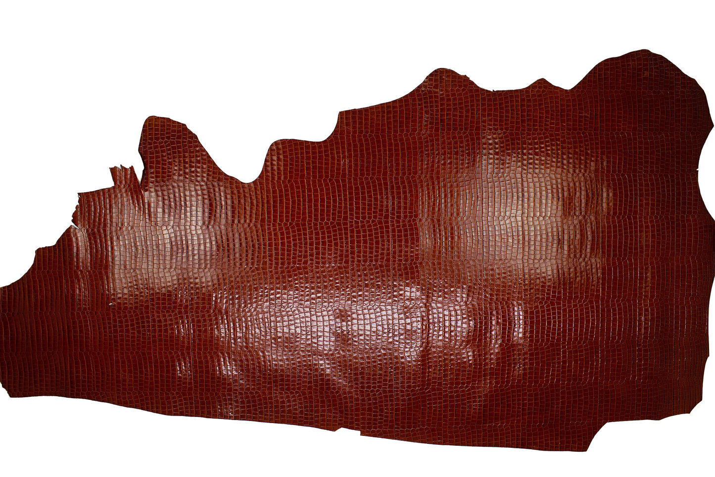 Piel de grabado coco cuero viejo