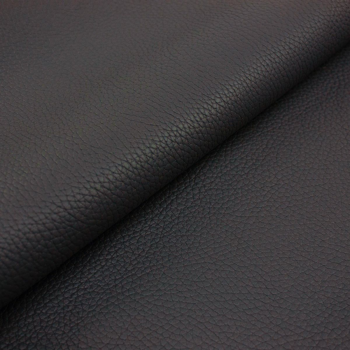 Coleccion Vacuno Grabado Floater CONTINUIDAD