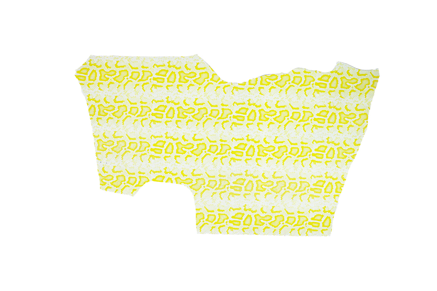 Piece of engraved skin of a yellow-white python snake