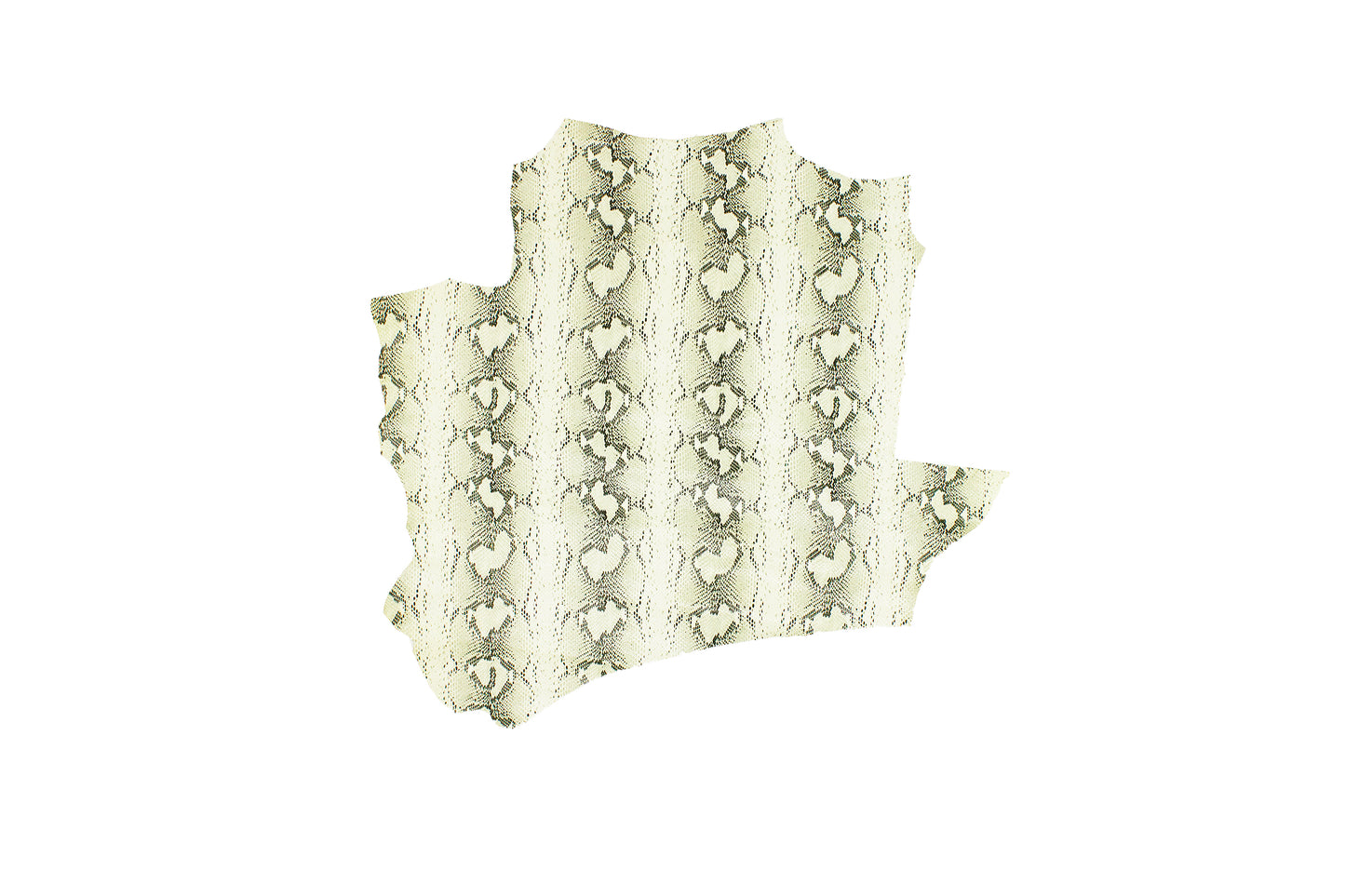 Piece of fancy beige-black python snake skin