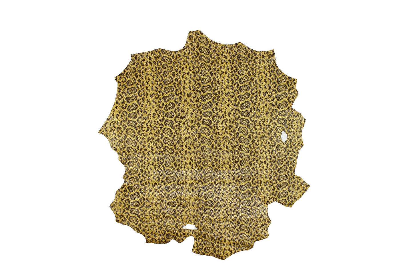 Trozo de piel grabado serpiente anaconda camel - La Tendeta del Cuero