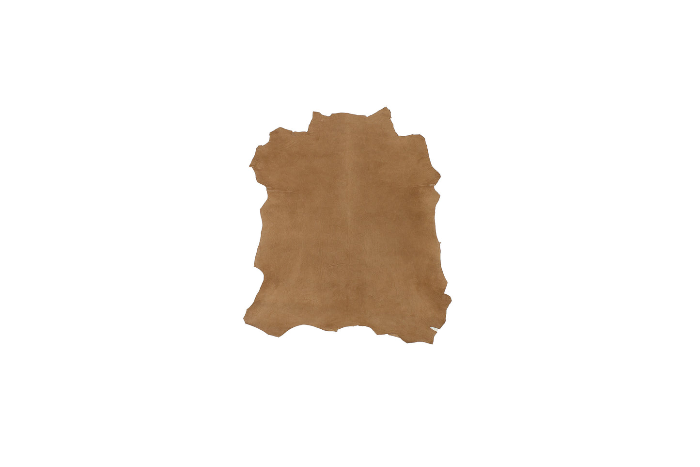 Trozo de piel ante desierto