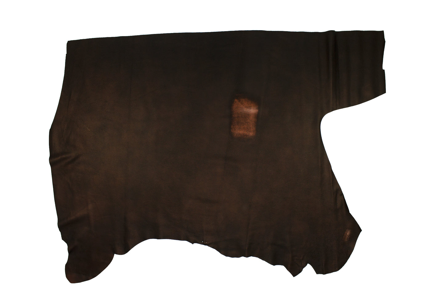 Trozo de piel grabado lagarto cobre autolucido