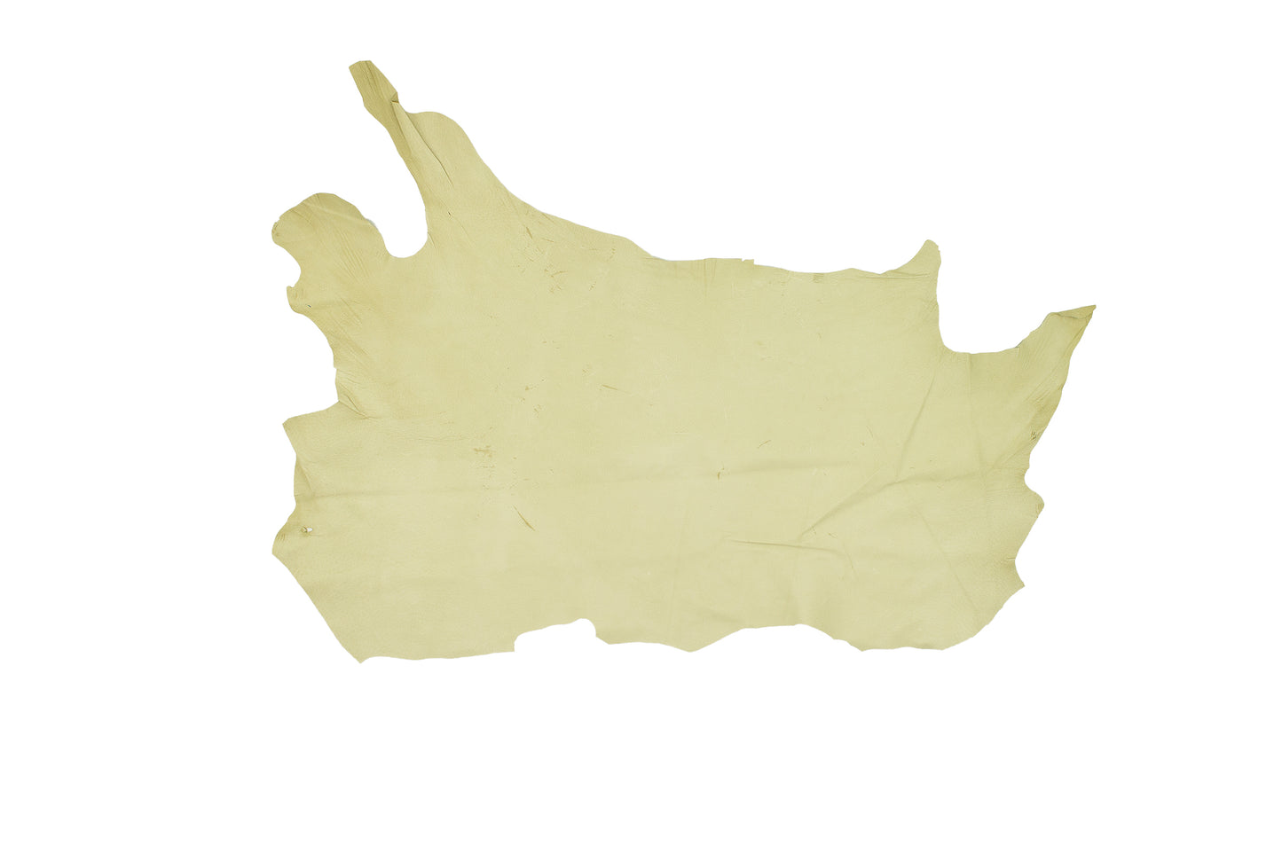 Trozo de piel forro cerdo flor beige