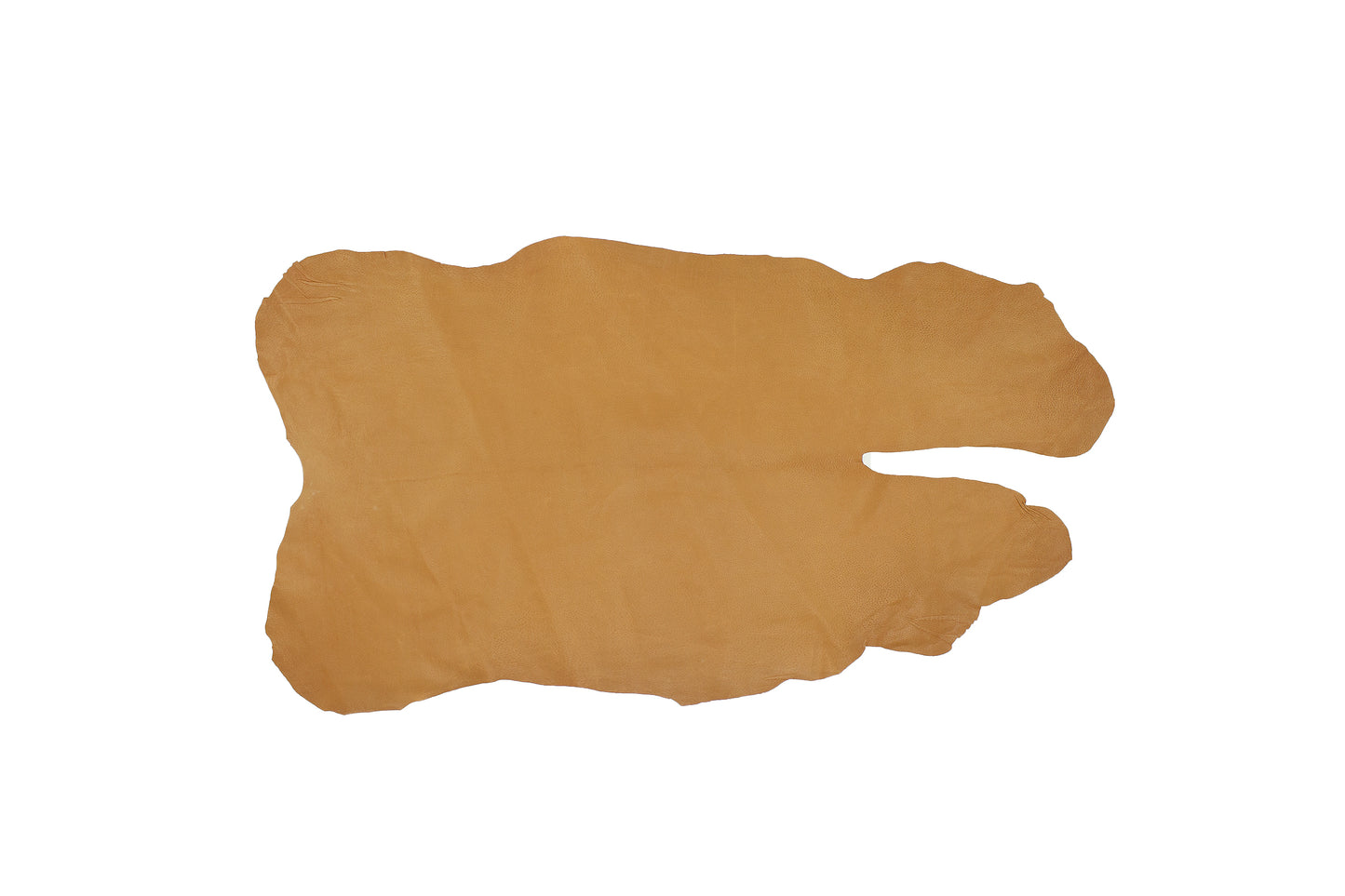 Piece of pig skin lining ironed mud