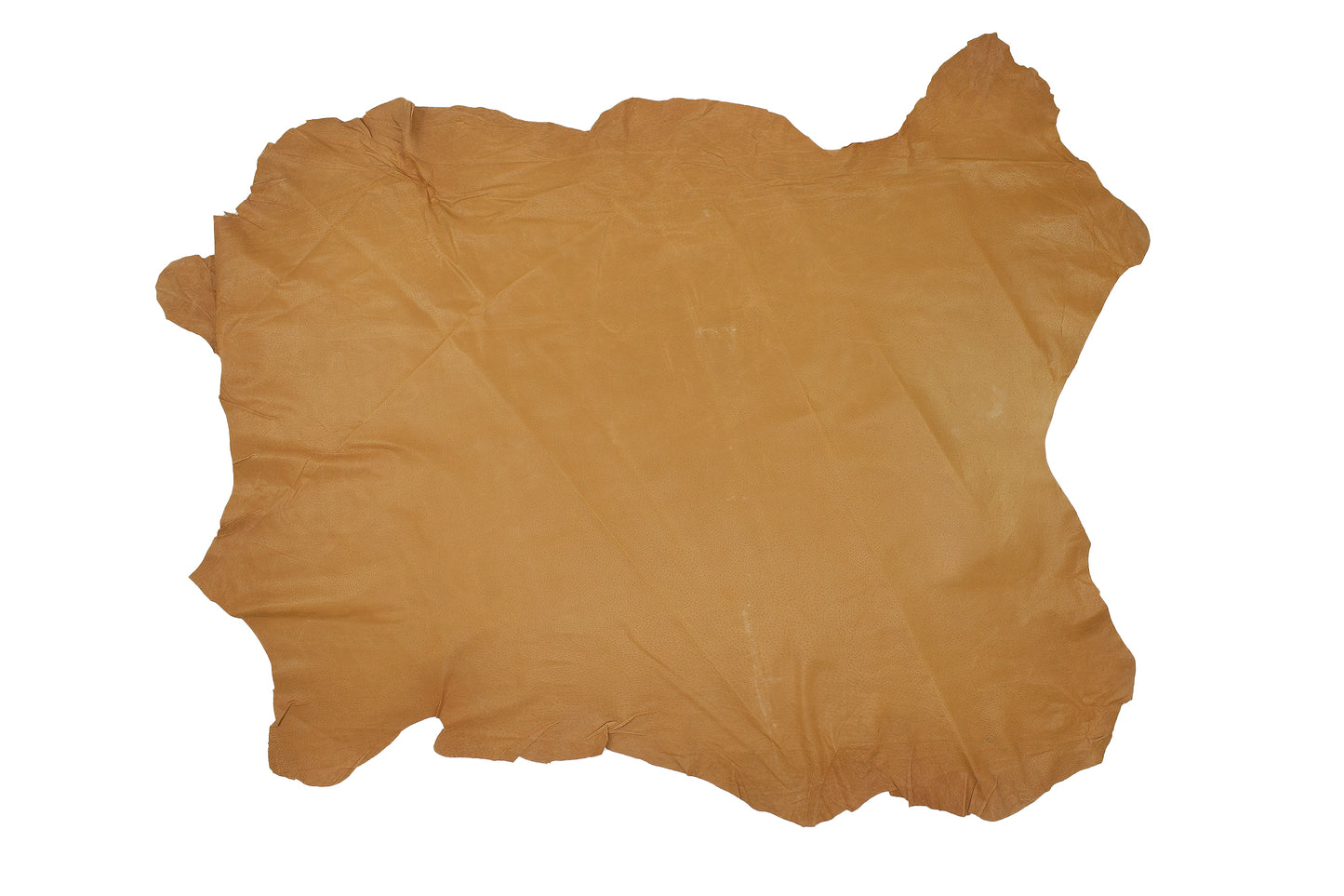 Piece of pig skin lining ironed mud