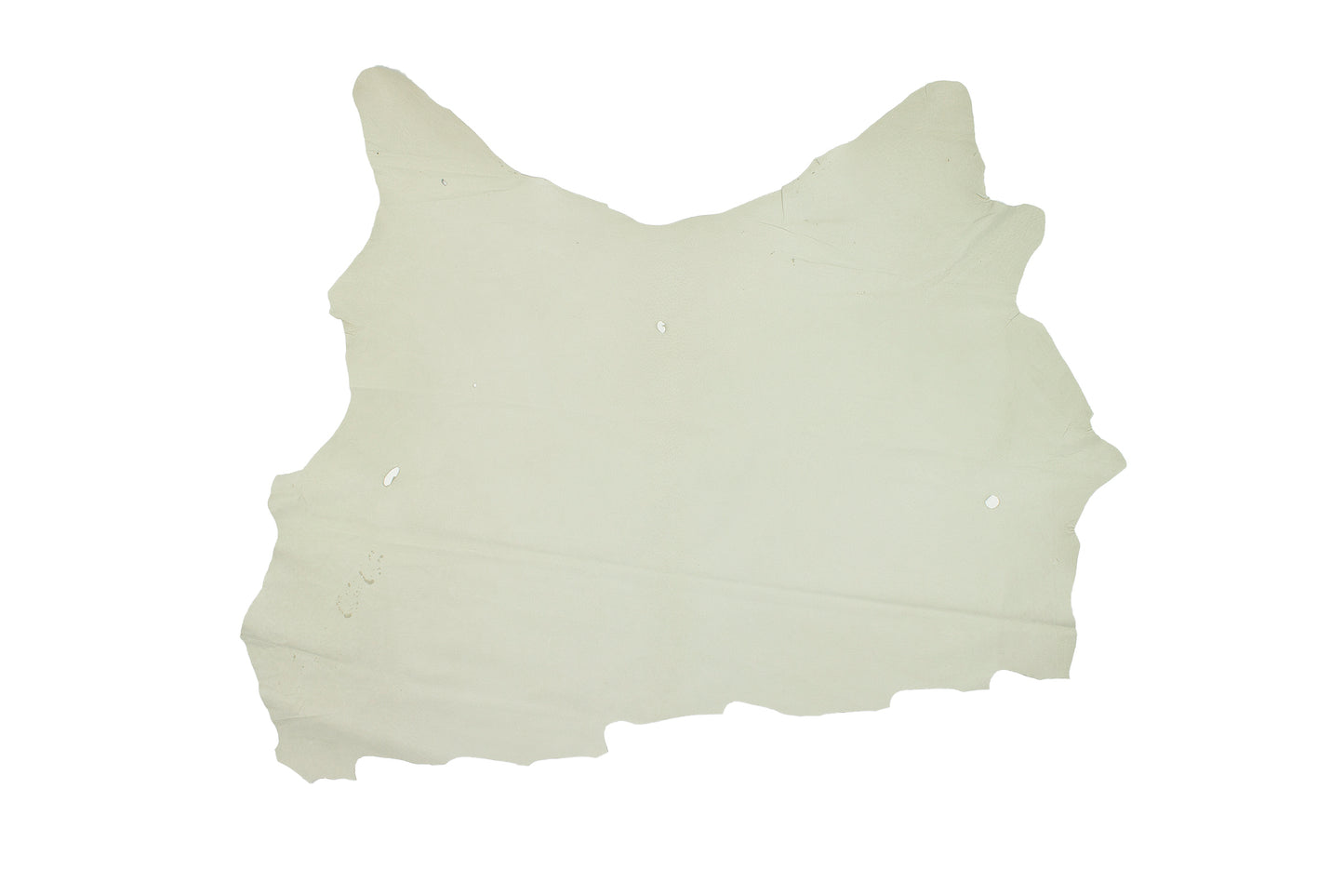 Piece of Mariola flower pig skin lining