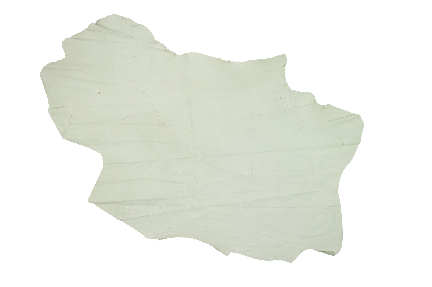 Piece of Mariola flower pig skin lining