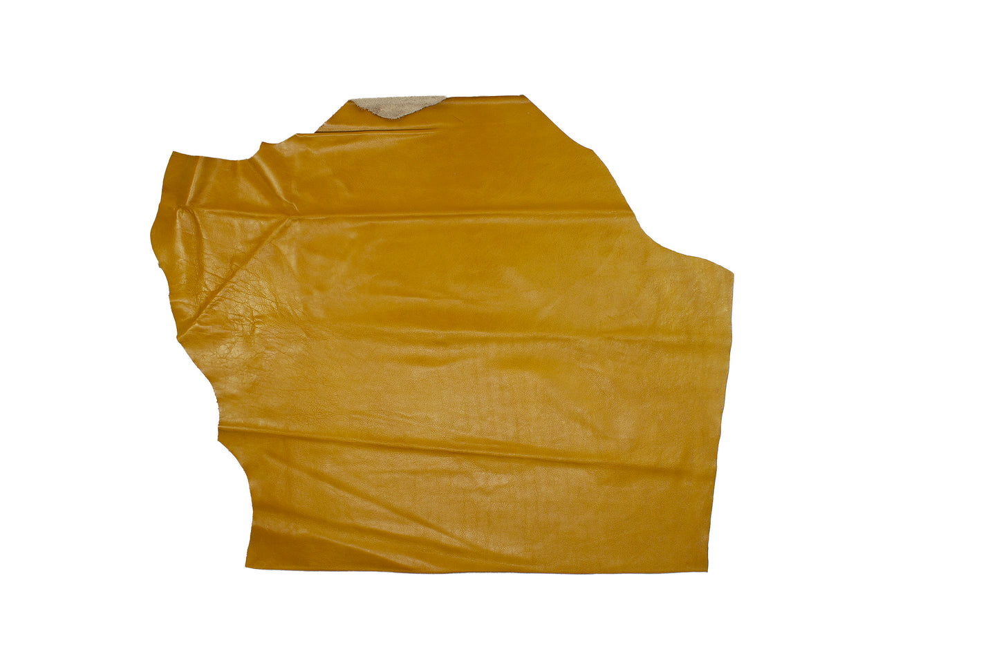 Trozo de piel vacuno rustico mostaza