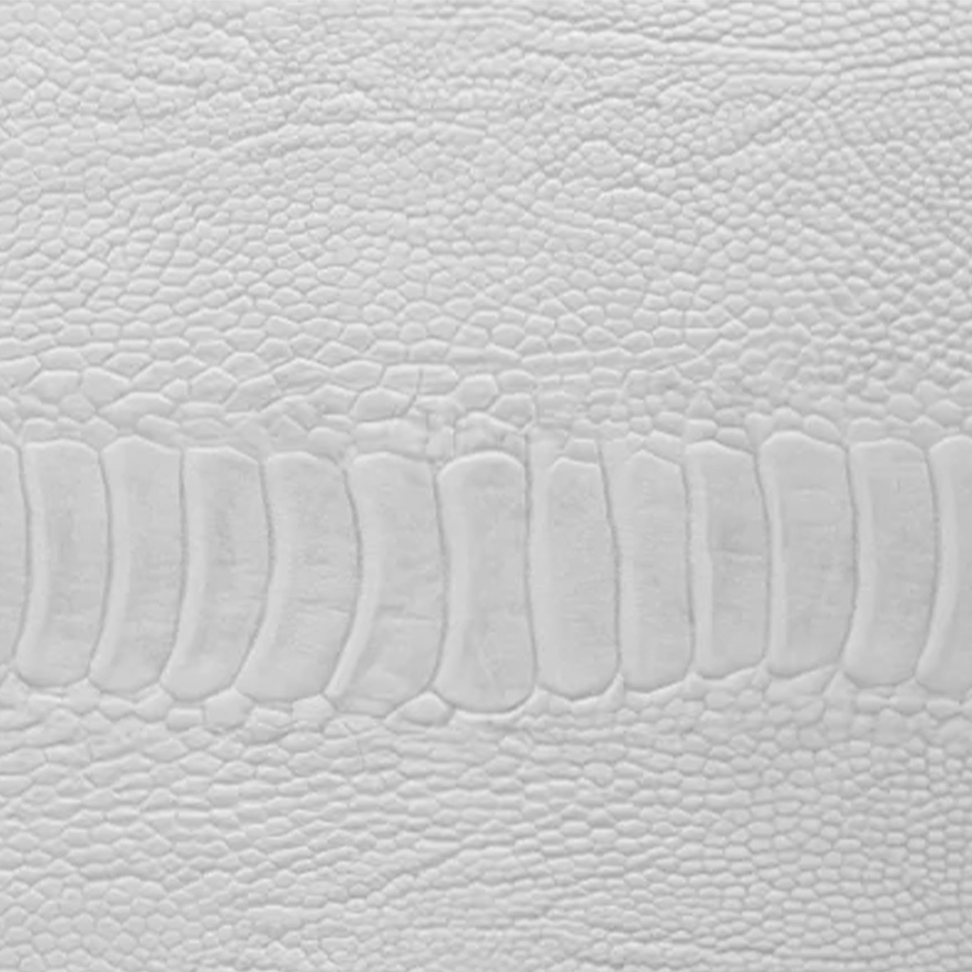 Vegan Vegetable Leather Zambia