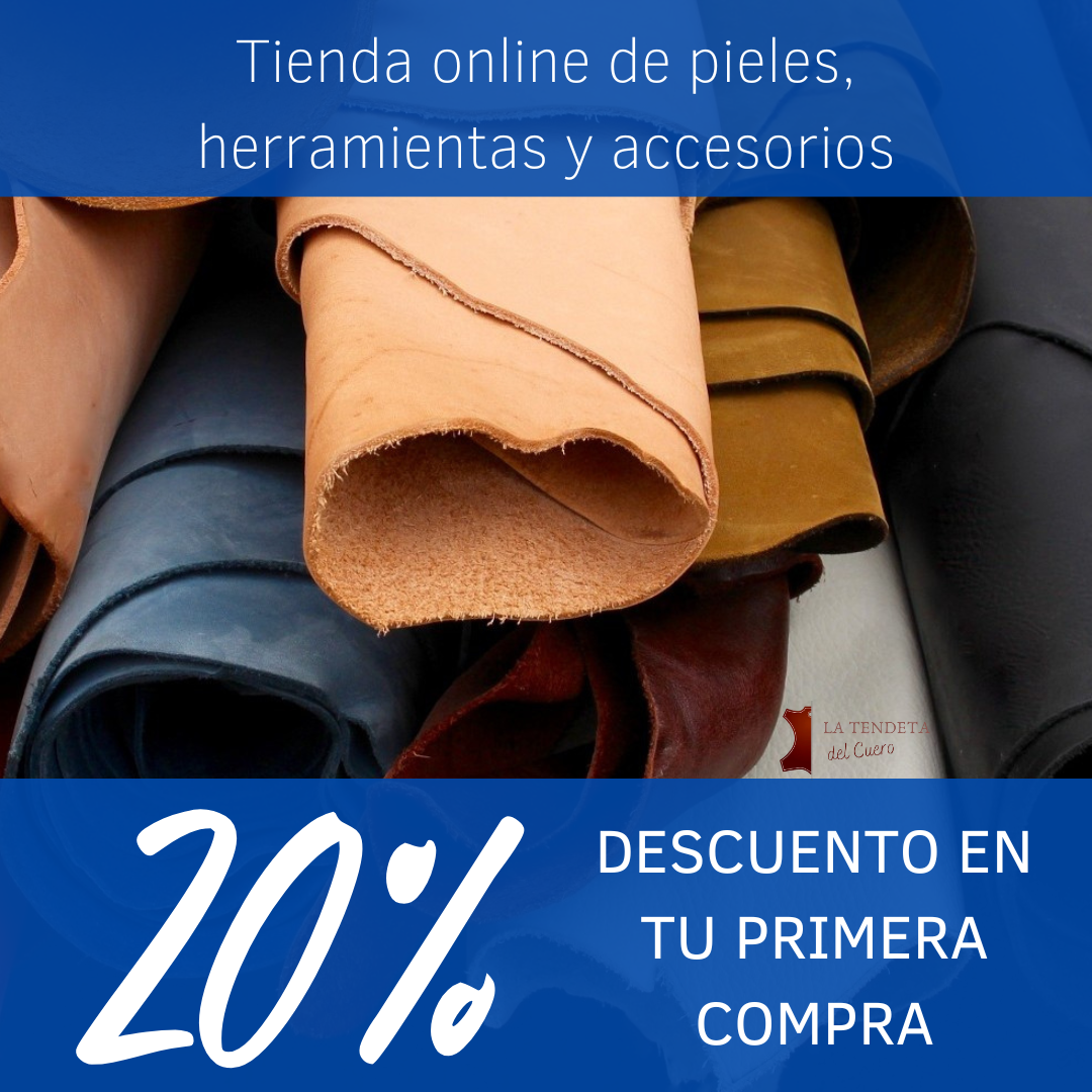 Newsletter #1  -  13 Febrero 2023