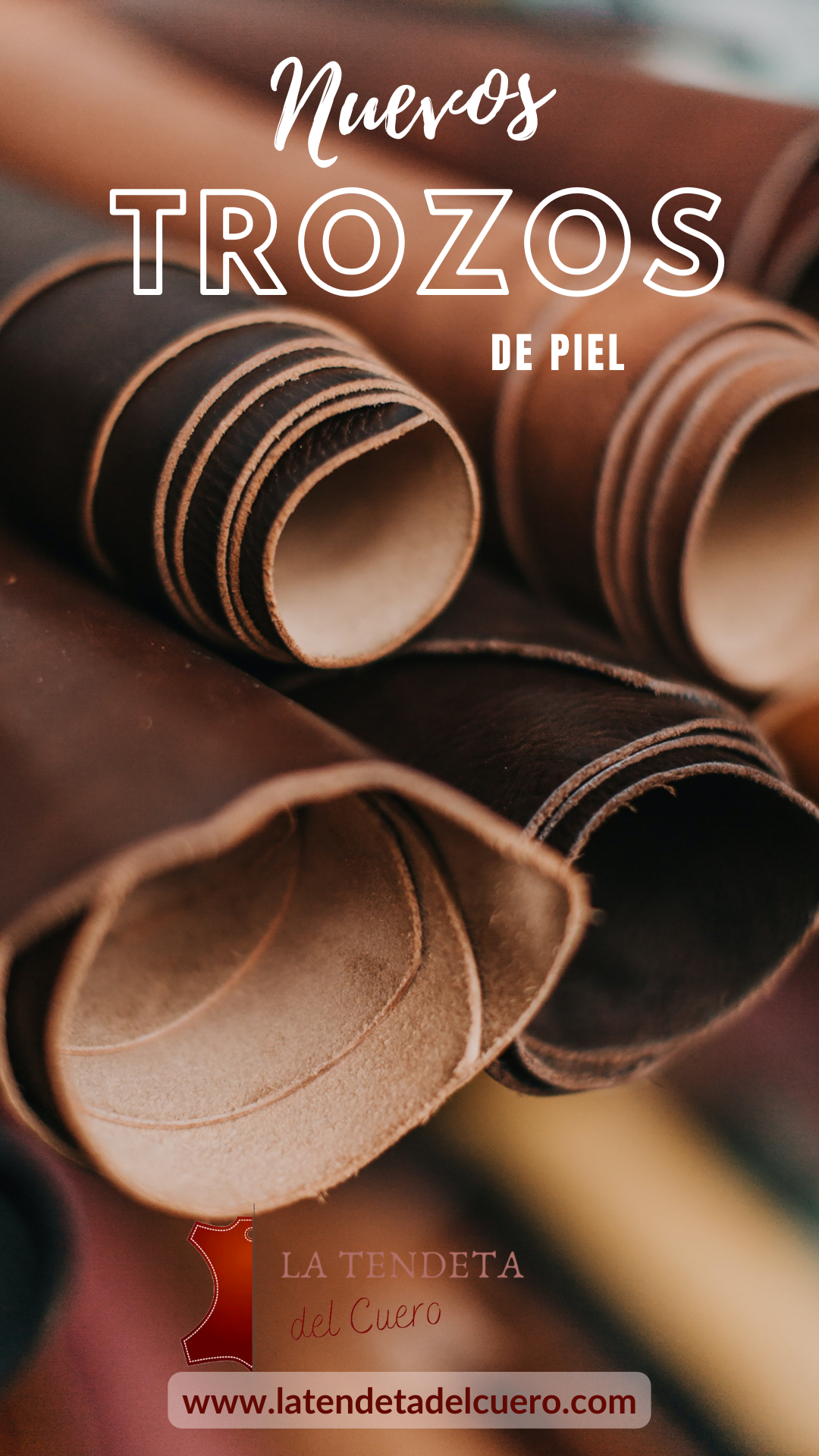 Newsletter #5 - 11 Abril 2023