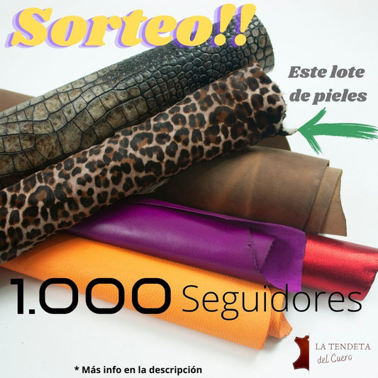 Newsletter #2 - 27 Febrero 2023