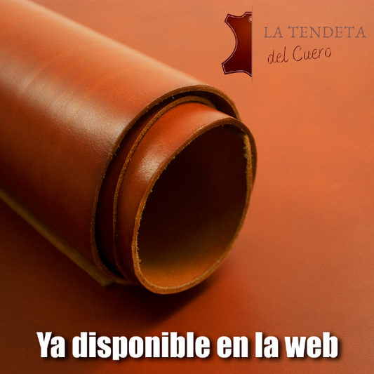 Newsletter #3 - 14 Marzo 2023