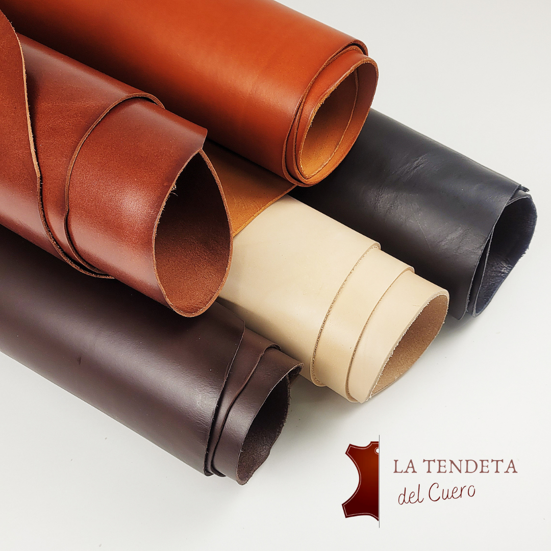 Newletter #4  -  29 Marzo 2023