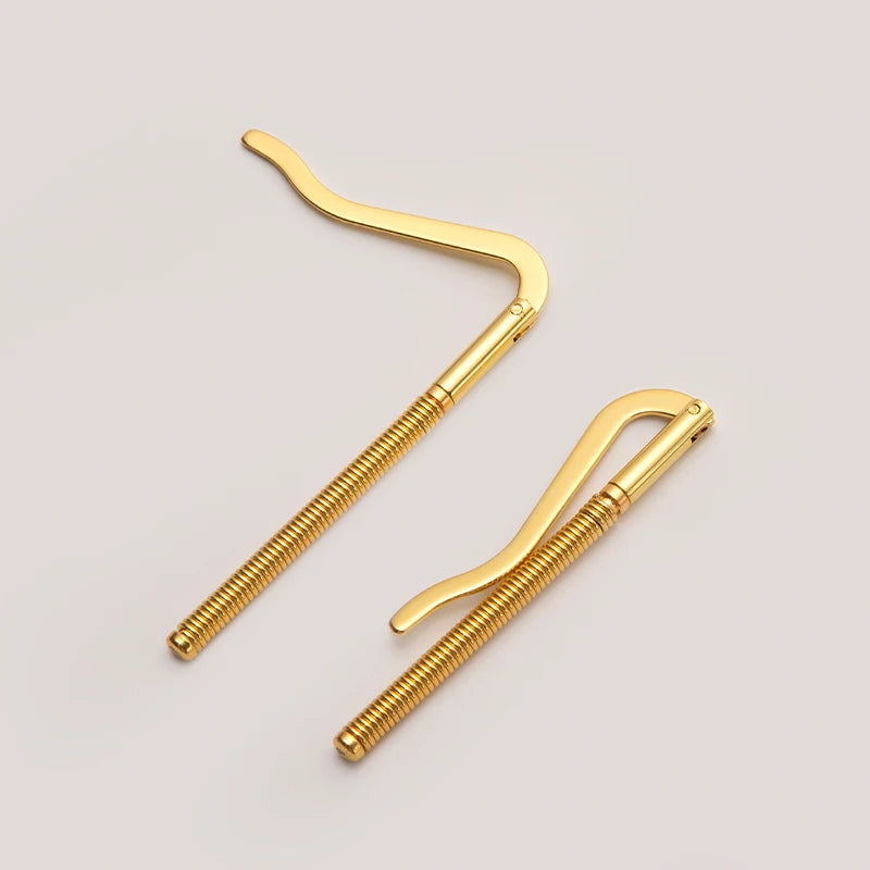 Clips sujeta billetes