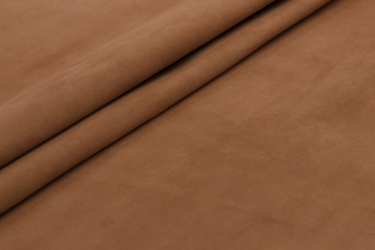 Coleccion Ante CONTINUIDAD