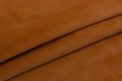 Coleccion Ante CONTINUIDAD