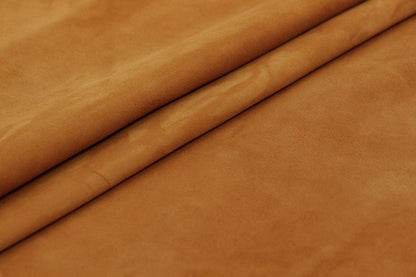 Coleccion Ante CONTINUIDAD