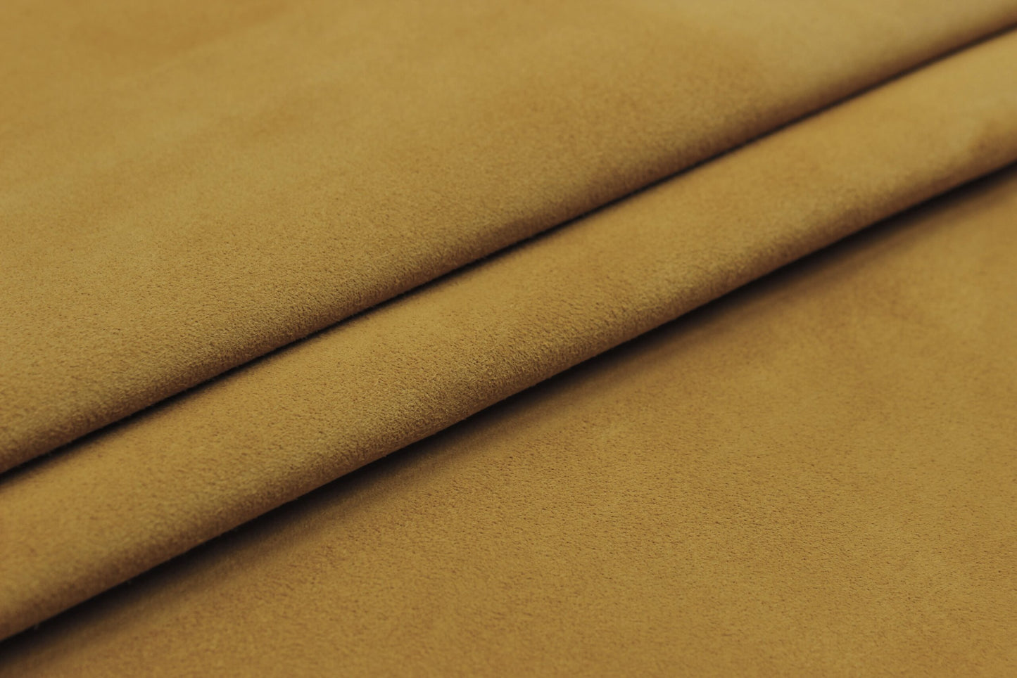 Coleccion Ante CONTINUIDAD