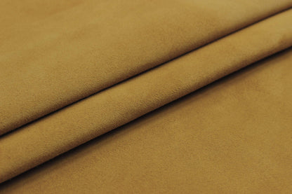 Coleccion Ante CONTINUIDAD