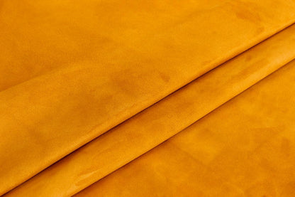 Coleccion Ante CONTINUIDAD