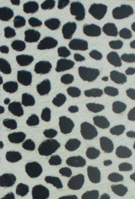 Coleccion Vacuno Pelo Animal Print CONTINUIDAD
