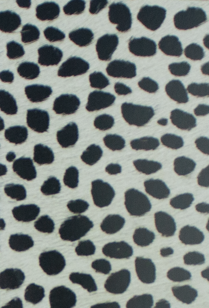 Coleccion Vacuno Pelo Animal Print CONTINUIDAD