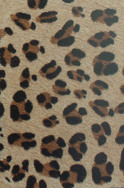 Coleccion Vacuno Pelo Animal Print CONTINUIDAD
