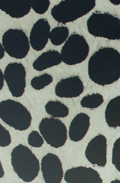 Coleccion Vacuno Pelo Animal Print CONTINUIDAD