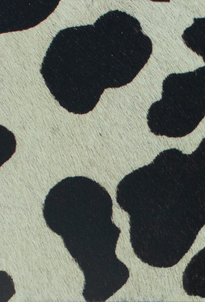 Coleccion Vacuno Pelo Animal Print CONTINUIDAD