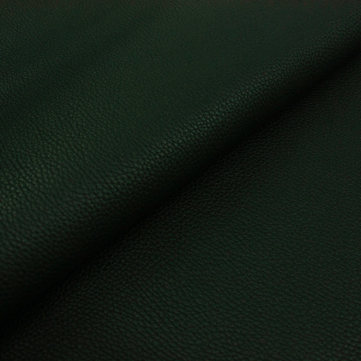 Coleccion Vacuno Grabado Floater CONTINUIDAD