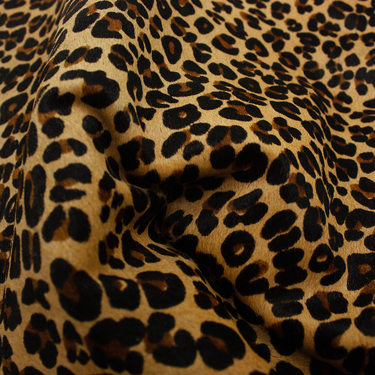 Trozo de piel pelo leopardo camel