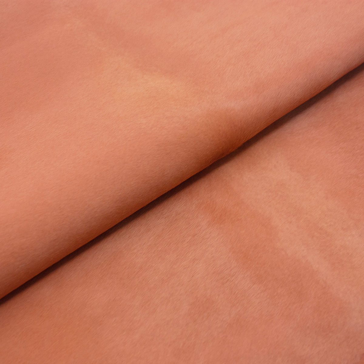 Trozo de piel pelo salmon