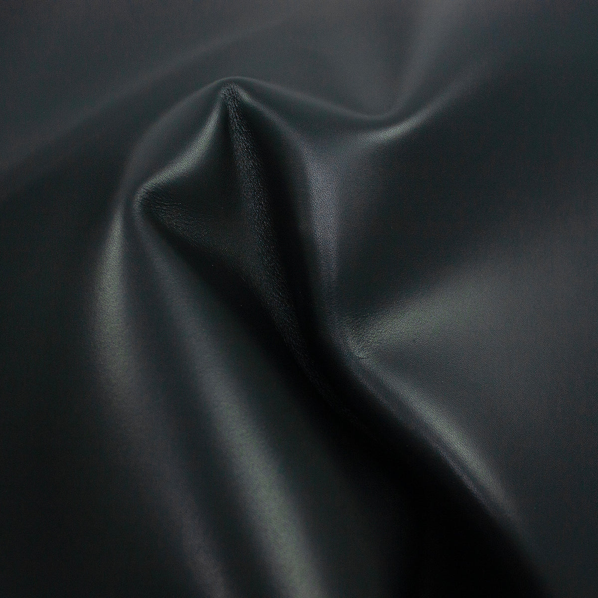 Piel de vacuno negro