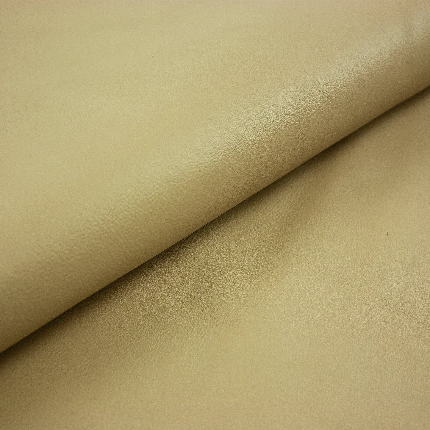 Piece of tanned beige bovine leather