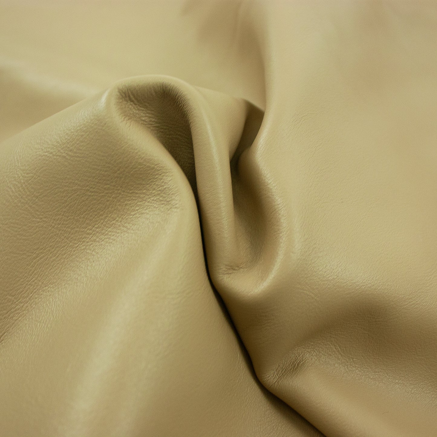 Piece of tanned beige bovine leather